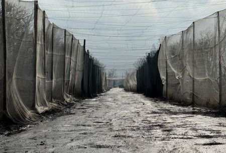 tagreuters.com2025binary_LYNXMPELBB0SF-VIEWIMAGE