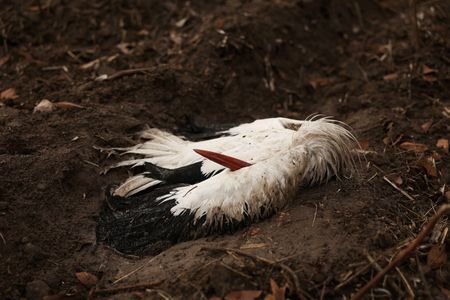 tagreuters.com2025binary_LYNXMPELBB0XM-VIEWIMAGE