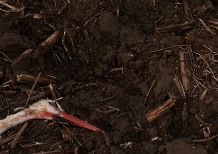 tagreuters.com2025binary_LYNXMPELBB0XN-VIEWIMAGE