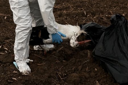 tagreuters.com2025binary_LYNXMPELBB0XY-VIEWIMAGE