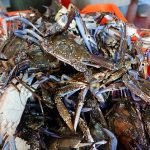 Blue crabs are placed in a box at a seafood