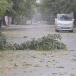 FILE PHOTO: Fallen branches are seen on a street as