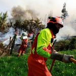 Firefighters use a controlled burn to tackle a wildfire in
