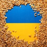 FILE PHOTO: Illustration shows Ukrainian flag and grain