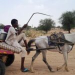 FILE PHOTO: Fleeing Sudanese seek refuge in Chad