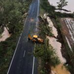 Drone view of a tractor pushing a fallen tree to