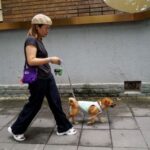 Pet owner Mi Jiayi walks her dog Mary in a