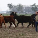 Argentine farmers lay out political expectations before presidential primaries