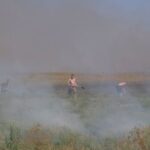Ukrainian servicemen put out burning grass near their positions in