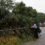 A police puts a cordon around fallen trees following Super
