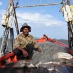 Cambodian fishermen release female crabs to preserve declining stocks