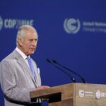 U.N.’s COP28 climate summit in Dubai