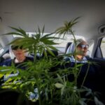 The Wider Image: Mexico’s weed ‘nuns’ want to take the