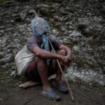 The Wider Image: Nepal’s honey gatherers say fewer hives threaten
