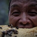 The Wider Image: Nepal’s honey gatherers say fewer hives threaten