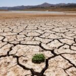 FILE PHOTO: Drought in Spain