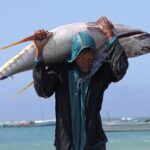 FILE PHOTO: A Somali man carries a fish from a