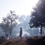 Brazil’s tropical wetlands ablaze in massive fires