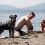 Montenegro braces for the first heatwave of the summer