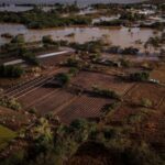 The Wider Image: Flood-battered farmers in southern Brazil wade through
