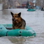 Flooding in Orenburg