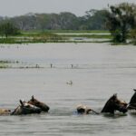 FILE PHOTO: Residents ride horses through a flood in the