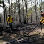 Wildfire in New Jersey