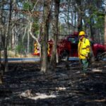 Wildfire in New Jersey