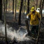 Wildfire in New Jersey