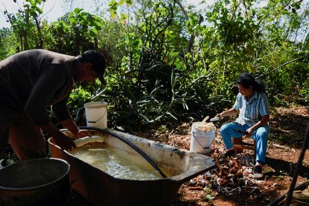 tagreuters.com2025binary_LYNXMPEL450GA-VIEWIMAGE