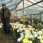 FILE PHOTO: Former guerrilla leader Jose Mujica walks on his