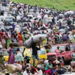 Congo conflict accelerates deforestation near protected park