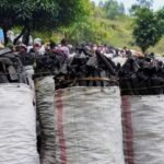Congo conflict accelerates deforestation near protected park