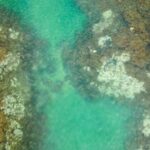 FILE PHOTO: A drone view shows bleached corals on the