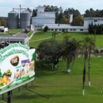Bird flu in top chicken exporter Brazil triggers trade bans