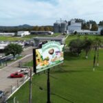 Bird flu in top chicken exporter Brazil triggers trade bans