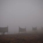 In Atacama, Chile’s driest desert, lettuce is grown with fog