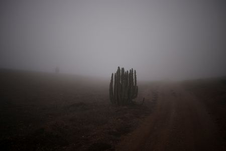 tagreuters.com2025binary_LYNXMPEL5N0KD-VIEWIMAGE