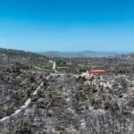 Aftermath of a wildfire on the island of Chios