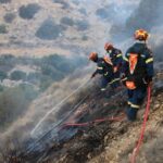 Wildfire burns in Ierapetra on the island of Crete