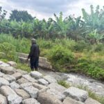 Trump’s funding cut stalls water projects, increasing risks for millions