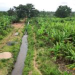 Trump’s funding cut stalls water projects, increasing risks for millions