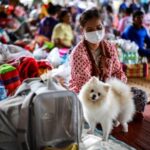 Thailand and Cambodia exchange heavy artillery fire as border battle