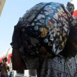 Displaced Sudanese head home from Egypt as a free train
