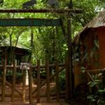 Sierra Leone sanctuary closes in protest over deforestation