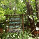 Sierra Leone sanctuary closes in protest over deforestation