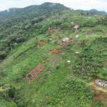 Sierra Leone sanctuary closes in protest over deforestation