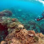 Peter Gash, owner and manager of the Lady Elliot Island