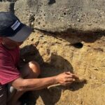 An archaeologist works at the site where they found small,