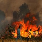 Wildfire in Abejera de Tabara, Zamora
